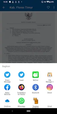 Koran Nusa Tenggara Timur android App screenshot 0